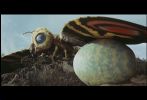 26-MOTHRA WITH EGG.jpg